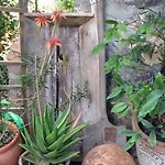 Fig Garden Σπίτι διακοπών *