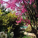 Fig Garden