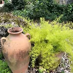Σπίτι διακοπών Fig Garden