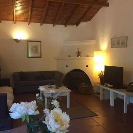 Fig Garden Vakantiehuis Kayakoy