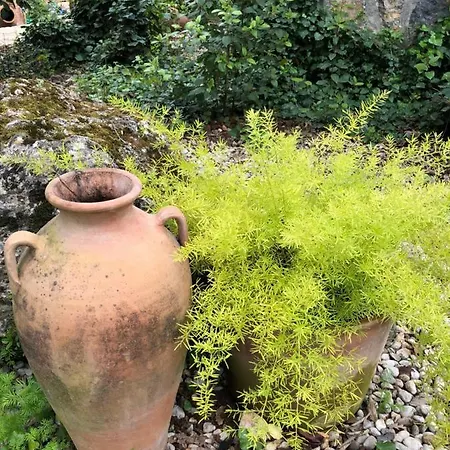 Сasa de vacaciones Fig Garden