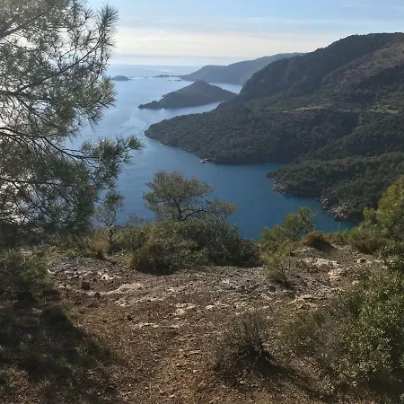 Fig Garden Сasa de vacaciones *