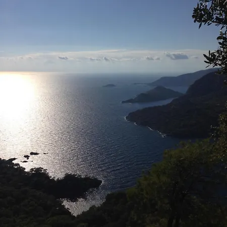 Сasa de vacaciones Fig Garden Kayakoy