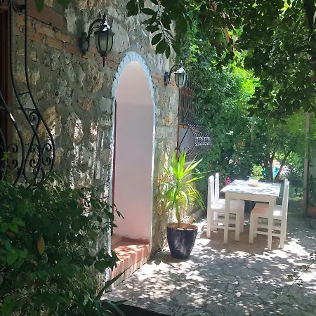 Fig Garden *