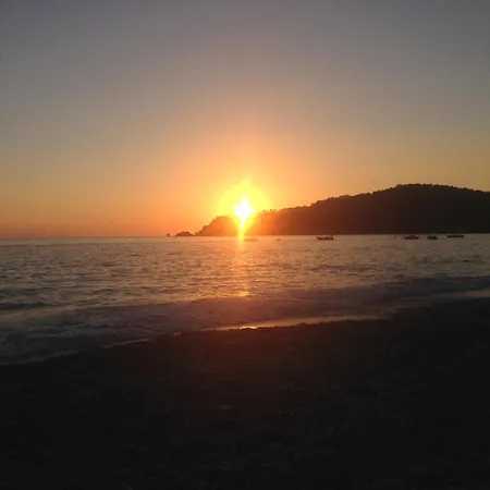 Сasa de vacaciones Fig Garden