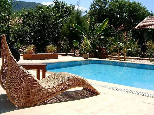 Tatil Evi Fig Garden *