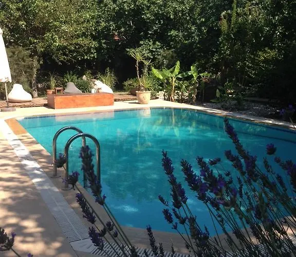 Fig Garden * Kayaköy