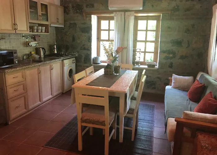 Fig Garden Tatil Evi