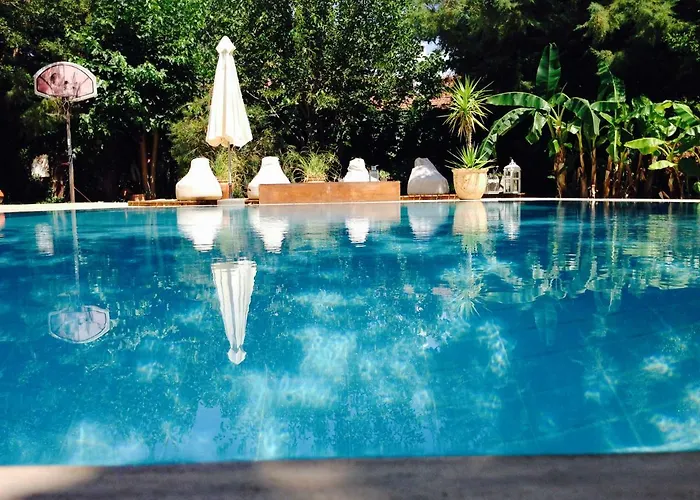 Tatil Evi Fig Garden *