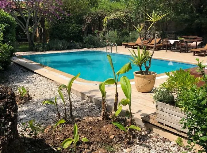 Tatil Evi Fig Garden *