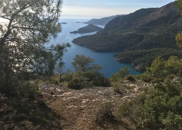 Fig Garden Tatil Evi *