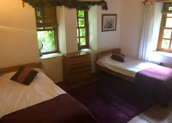 Tatil Evi Fig Garden Kayaköy