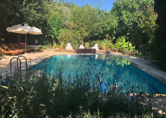 Fig Garden Tatil Evi *