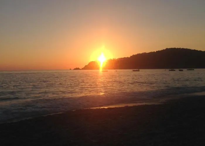 Tatil Evi Fig Garden